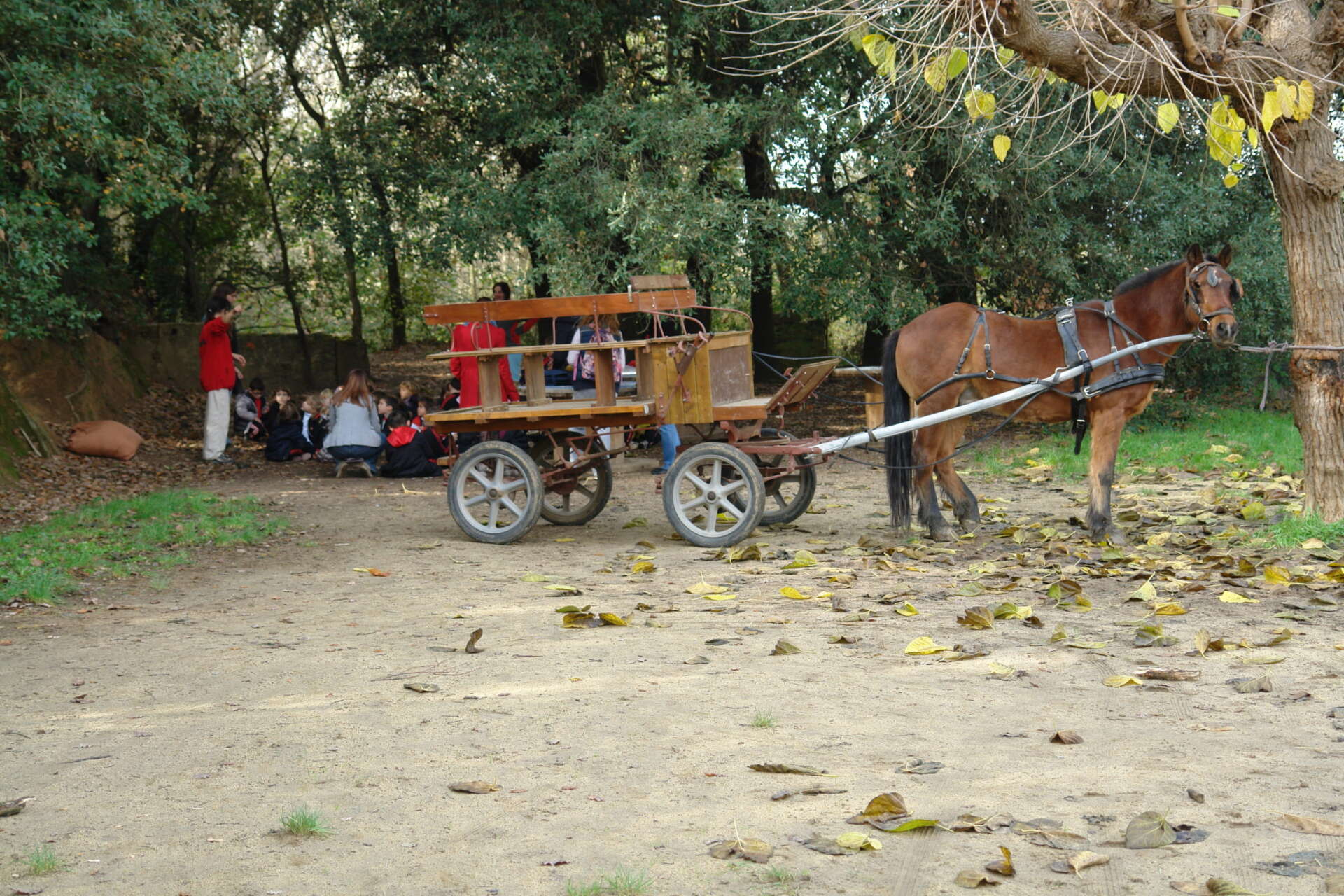 2012-11-21 13.13.51