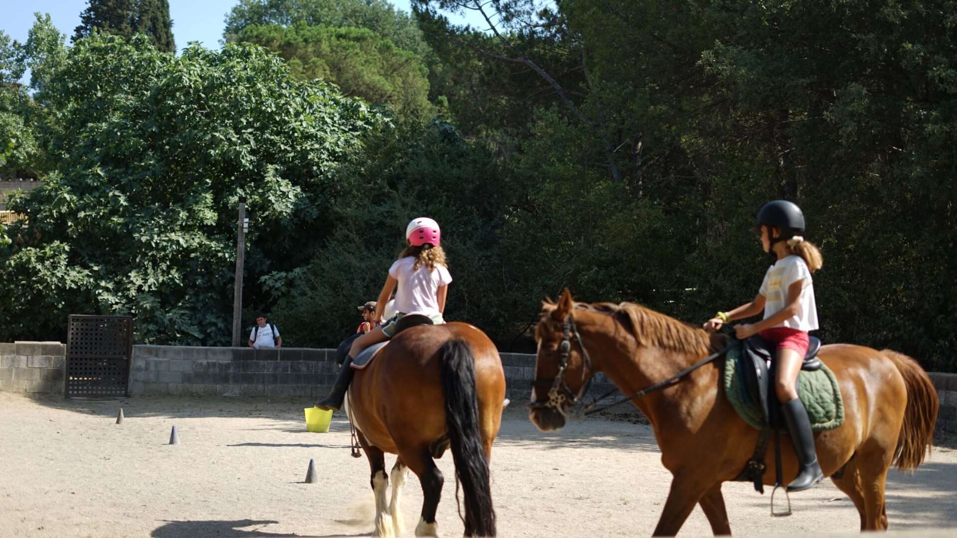 Colònies escolars en anglès