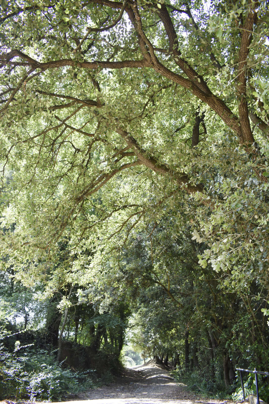BOSC OUTDOOR ESPAIS_ LA GRANJA