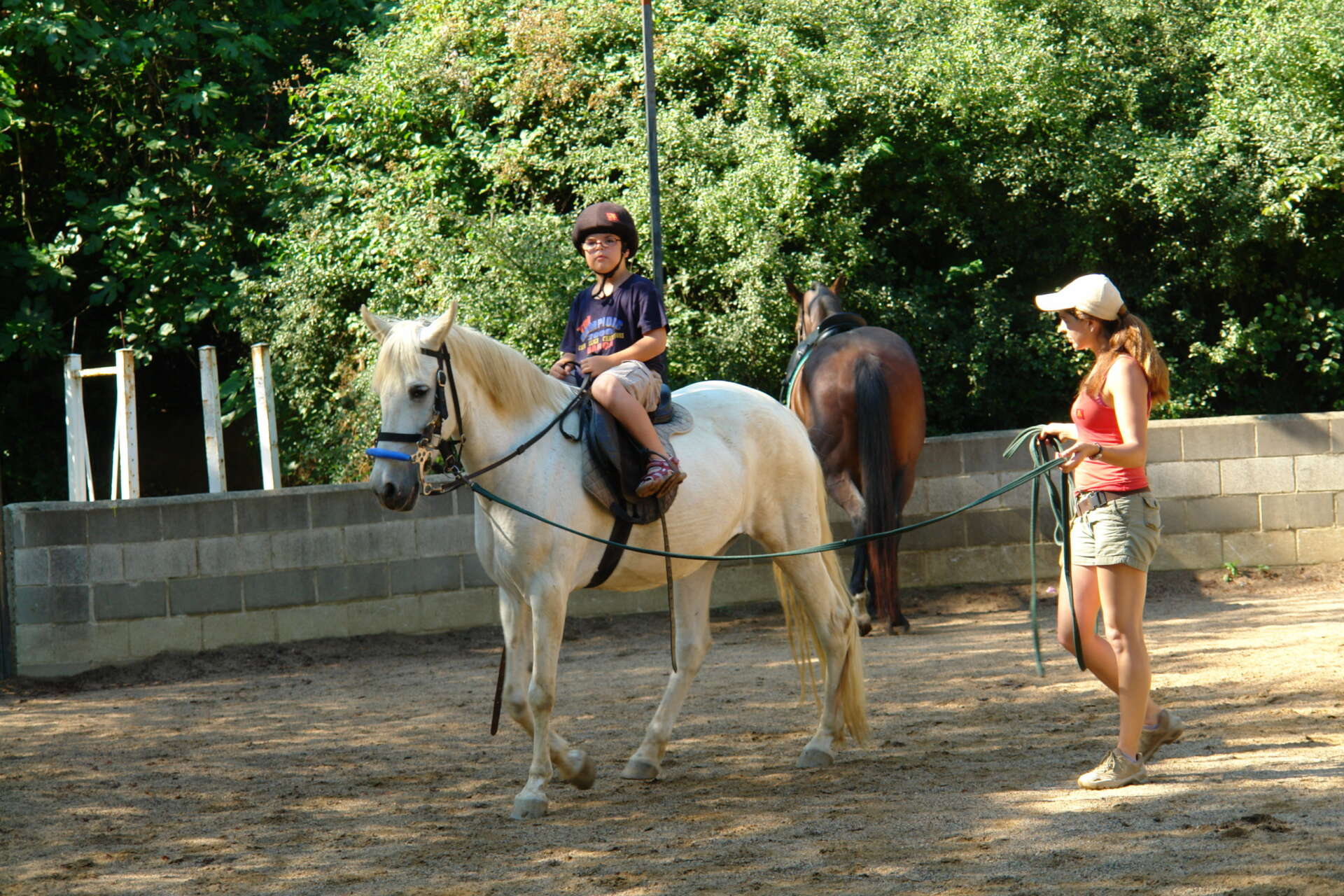 DSC01356