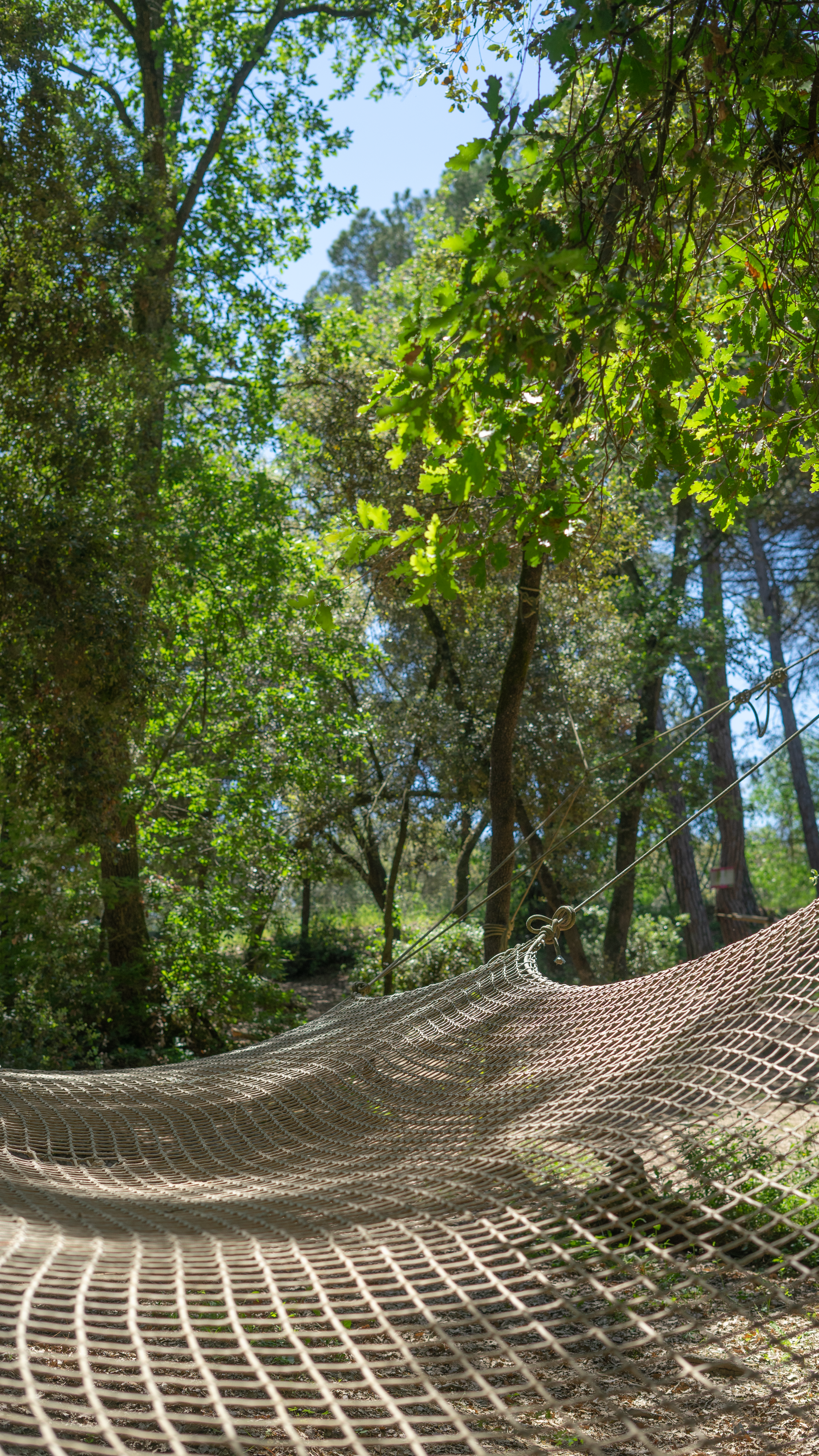 _DSC0205