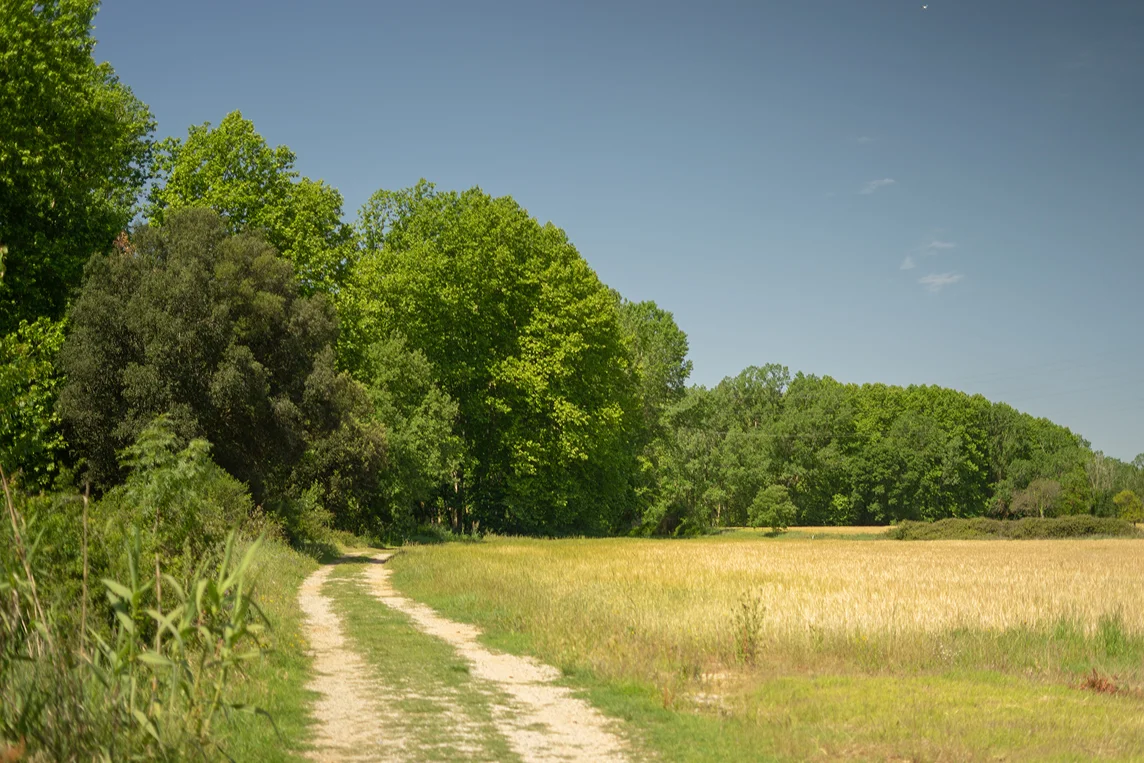 La granja boscos natura