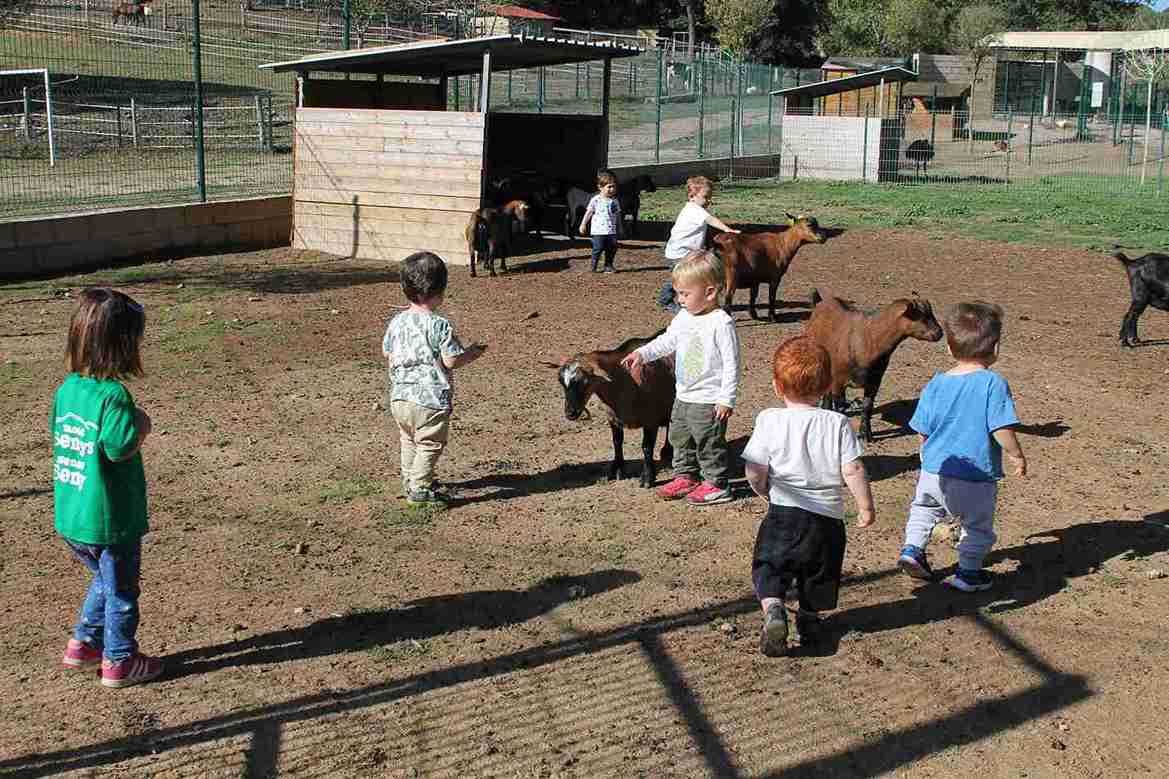 granja-animals-5