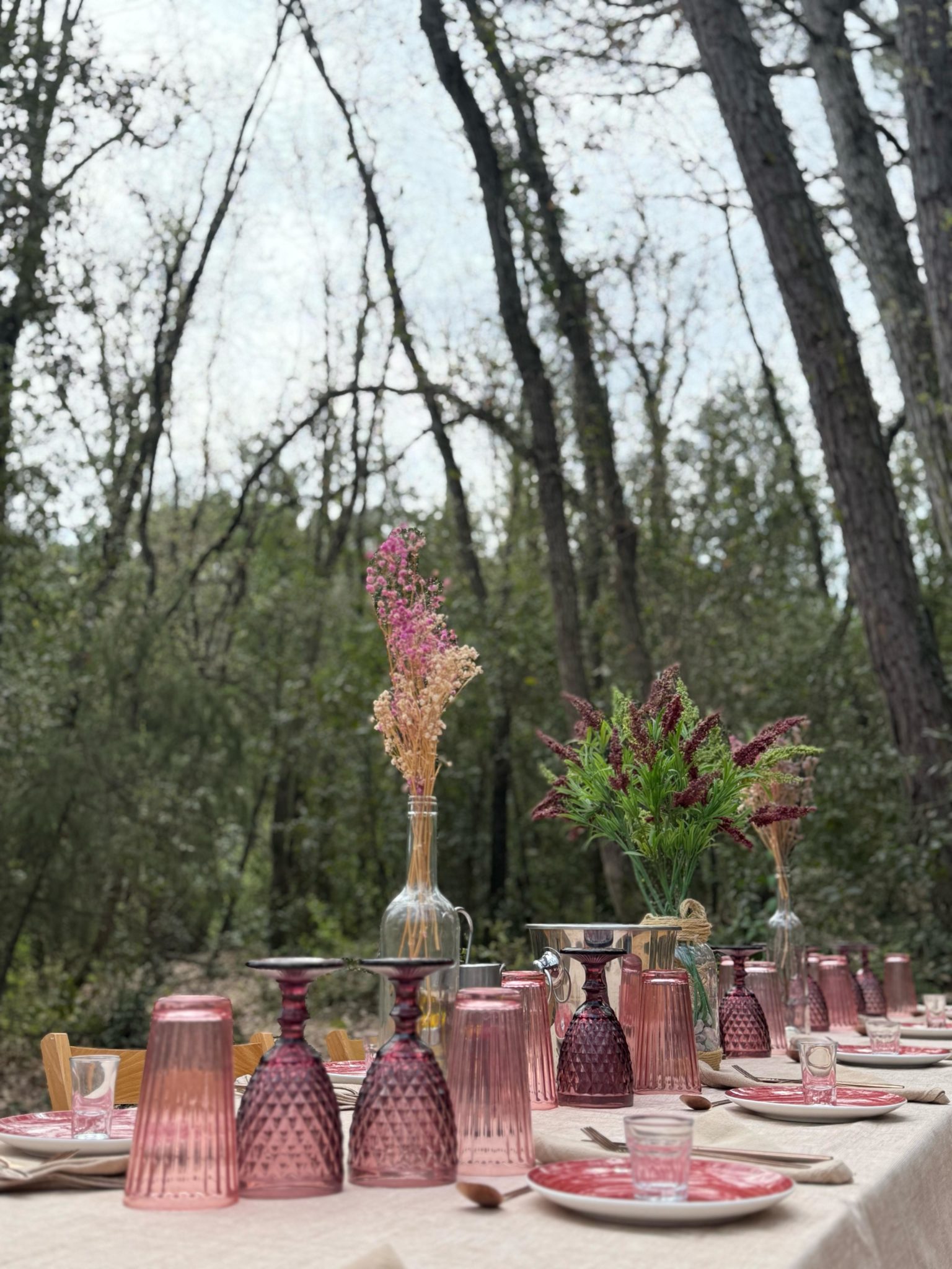 Dinar al bosc