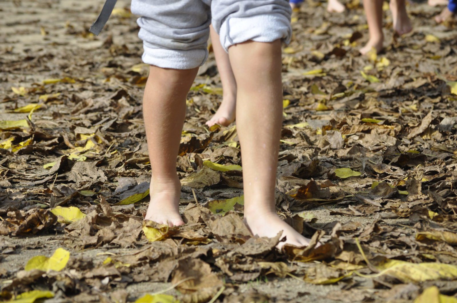 bosc_nen_peu-scaled
