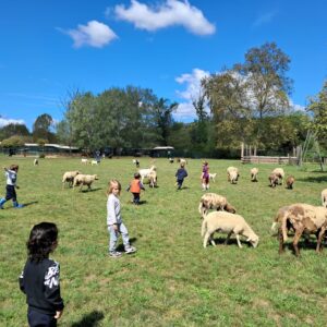 Quan el bosc desperta (17/04/27)