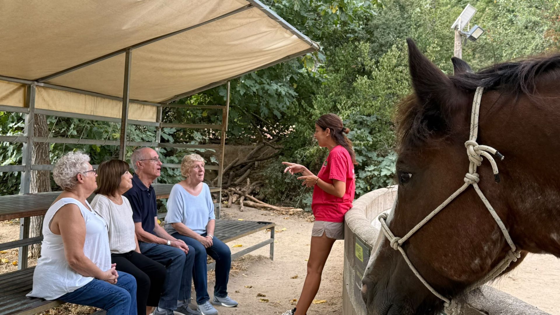 Jornada de benestar emocional per a la tercera edat a La Granja