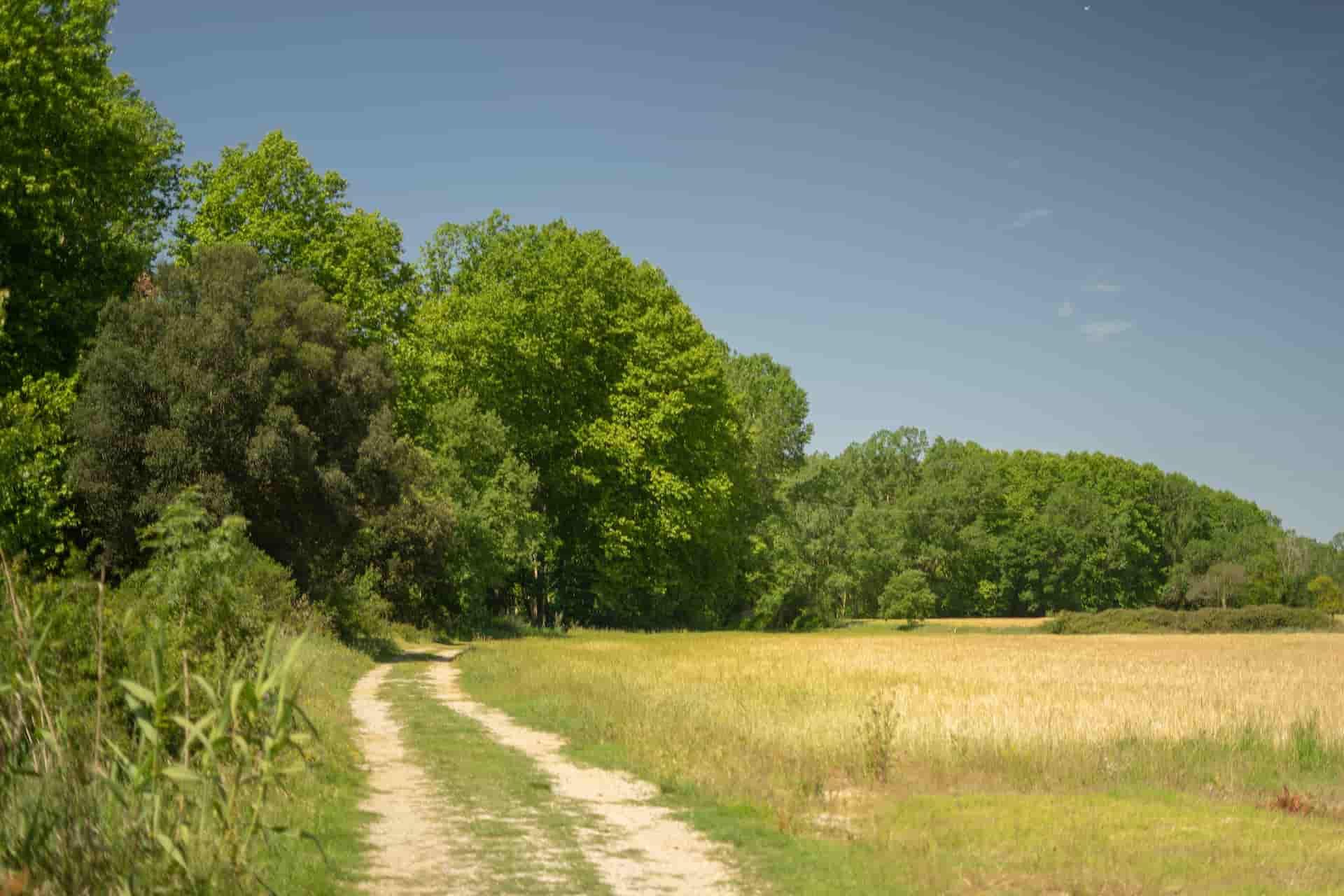 granja-installacions-bosc-1