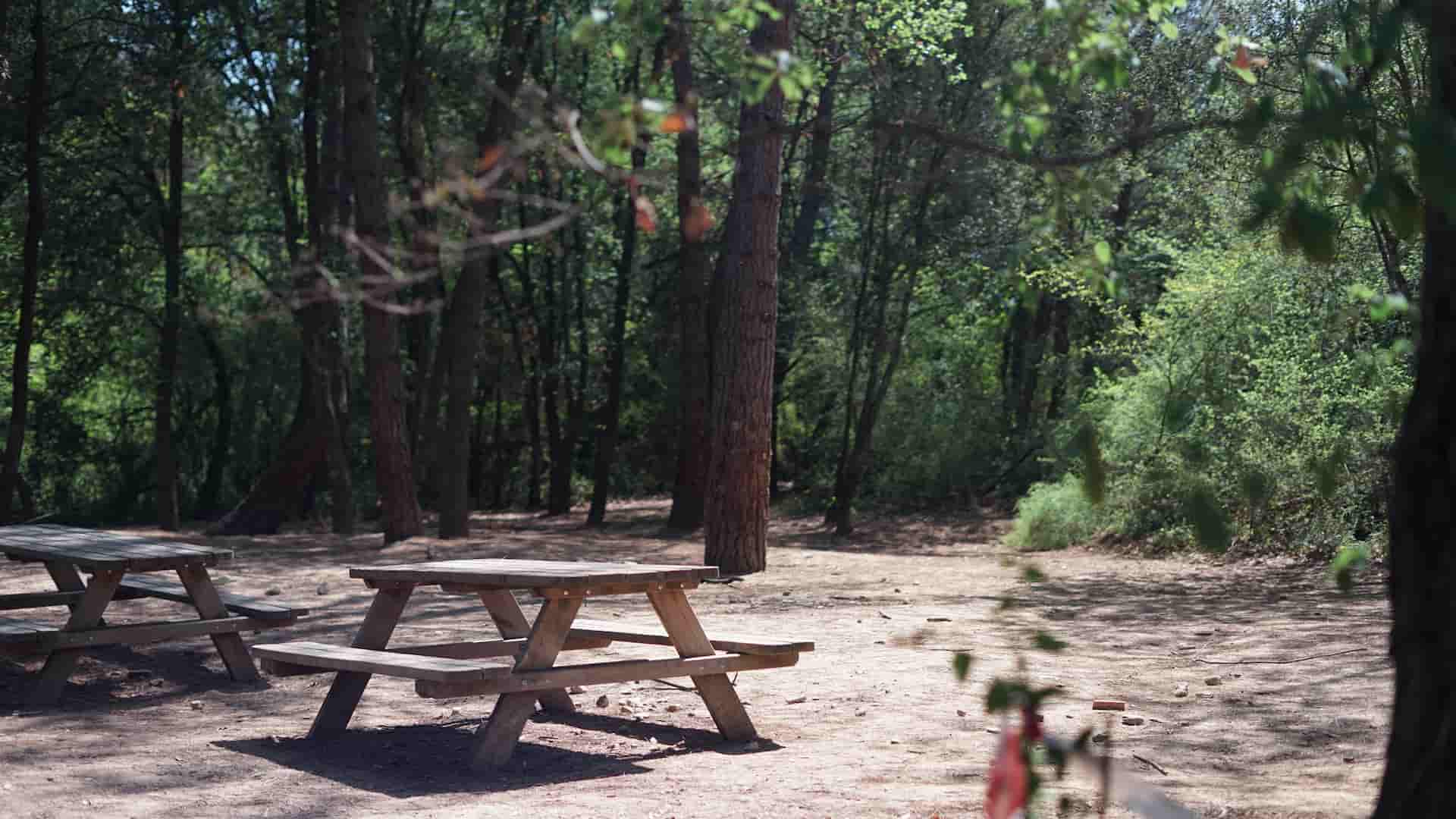 granja-installacions-bosc-2